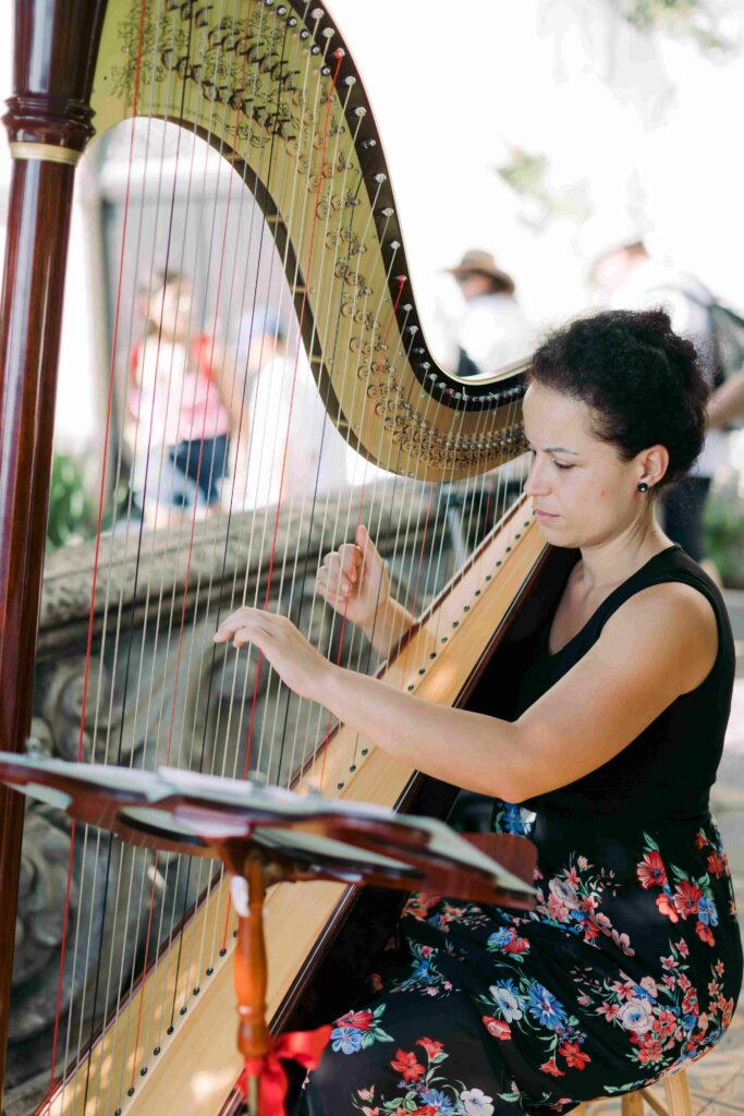 Dremy Lake Como Elopement harpist